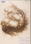 000001960-thumbnail.jpg