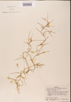 000001961-thumbnail.jpg