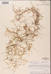 000001962-thumbnail.jpg