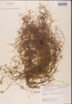 000001964-thumbnail.jpg