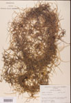 000001965-thumbnail.jpg