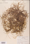 000001966-thumbnail.jpg