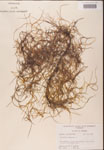 000001967-thumbnail.jpg