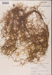 000001968-thumbnail.jpg