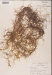 000001969-thumbnail.jpg