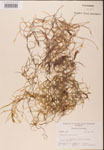 000001970-thumbnail.jpg