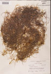 000001972-thumbnail.jpg
