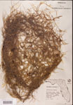 000001973-thumbnail.jpg