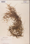 000001974-thumbnail.jpg