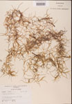 000001975-thumbnail.jpg