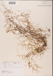 000001977-thumbnail.jpg