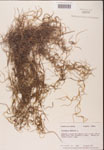 000001978-thumbnail.jpg