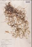 000001979-thumbnail.jpg
