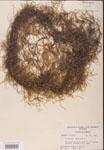 000001980-thumbnail.jpg