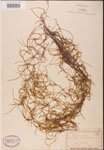 000001982-thumbnail.jpg