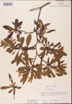 000002051-thumbnail.jpg