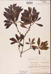 000002053-thumbnail.jpg