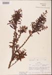000002054-thumbnail.jpg