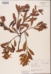 000002056-thumbnail.jpg