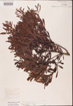 000002060-thumbnail.jpg