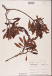 000002065-thumbnail.jpg