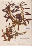 000002069-thumbnail.jpg
