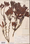 000002071-thumbnail.jpg