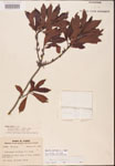 000002072-thumbnail.jpg
