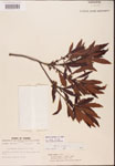 000002073-thumbnail.jpg