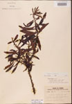 000002074-thumbnail.jpg