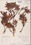 000002075-thumbnail.jpg