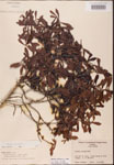000002076-thumbnail.jpg