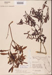 000002078-thumbnail.jpg