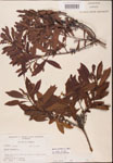 000002079-thumbnail.jpg