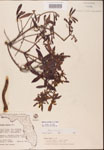 000002080-thumbnail.jpg