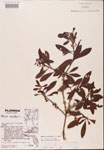 000002090-thumbnail.jpg