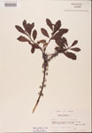 000002101-thumbnail.jpg