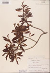 000002103-thumbnail.jpg