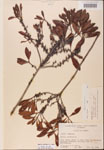 000002105-thumbnail.jpg