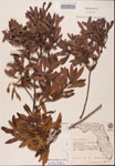 000002106-thumbnail.jpg