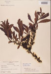 000002108-thumbnail.jpg