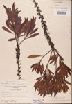 000002110-thumbnail.jpg