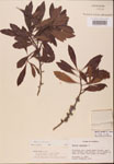 000002113-thumbnail.jpg