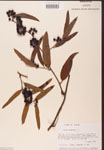 000002123-thumbnail.jpg
