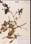 000002127-thumbnail.jpg