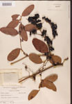 000002130-thumbnail.jpg