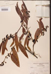 000002131-thumbnail.jpg