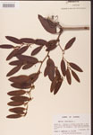 000002134-thumbnail.jpg