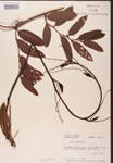 000002139-thumbnail.jpg