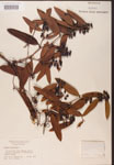 000002140-thumbnail.jpg